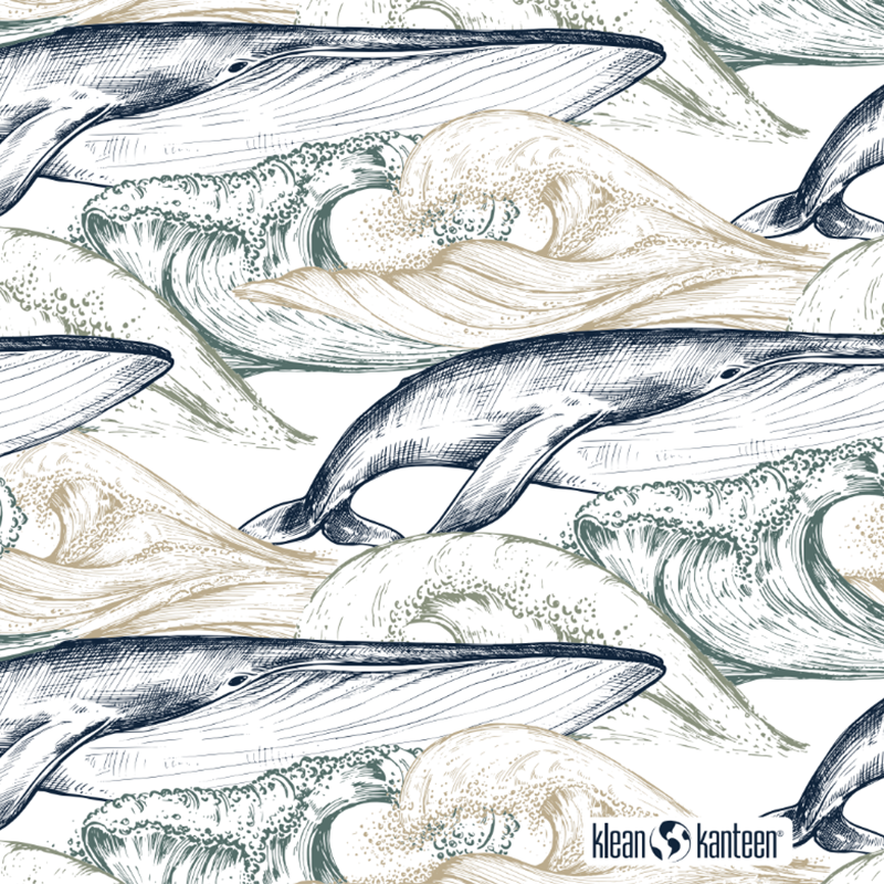 20oz-tkwide-with-twist-cap-ocean-day-c4 20oz_tkwide_bottle_seasonal_ocean_day_whale_artwork_square.png