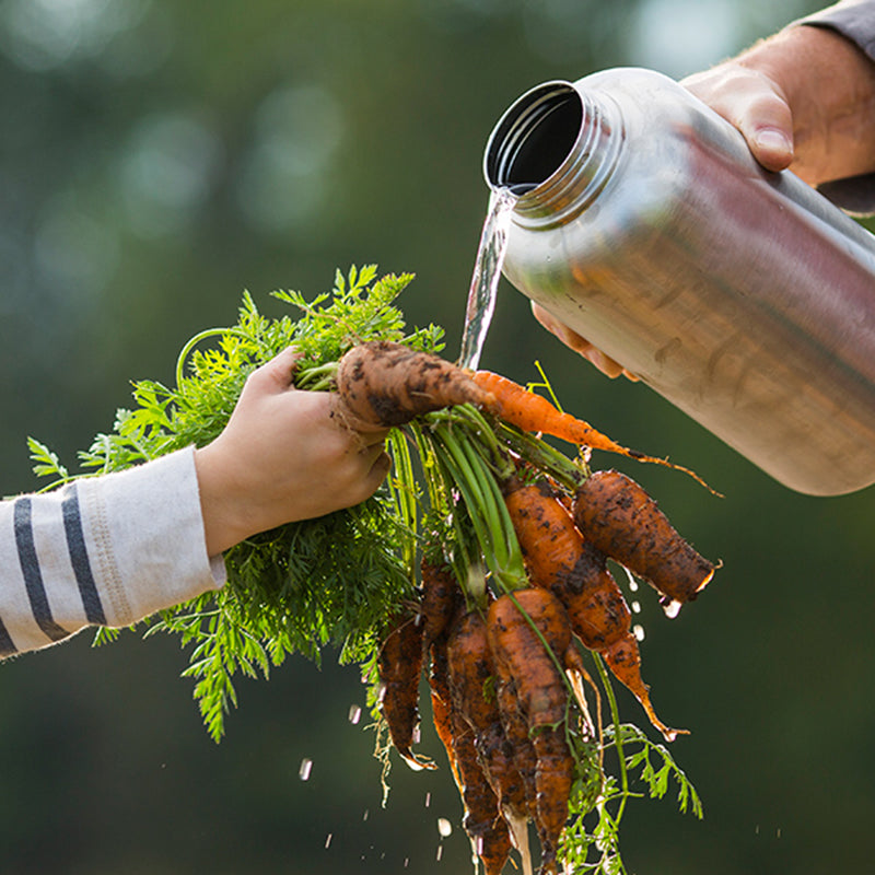 64oz-wide-with-loop-cap-s9 64oz_wide_mouth_bottle_carrots_rinse_square.jpg